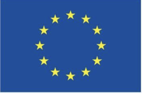 flag eU